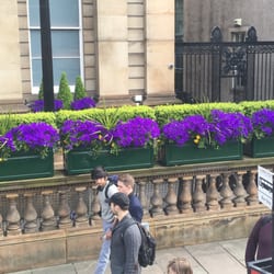 Mac Tours City Tour - Lovely flowers, pic taken from vantage view top of bus