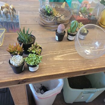 Jade & Clover - At the assembly table - Nurseries & Gardening Near Me - Phoenix, Arizona