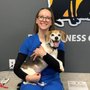 Photo of Avon Pet Wellness Clinic