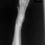Tender Care Veterinary Center