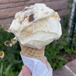 Danish Cone Factory - Danish Cone Swirl signature flavor