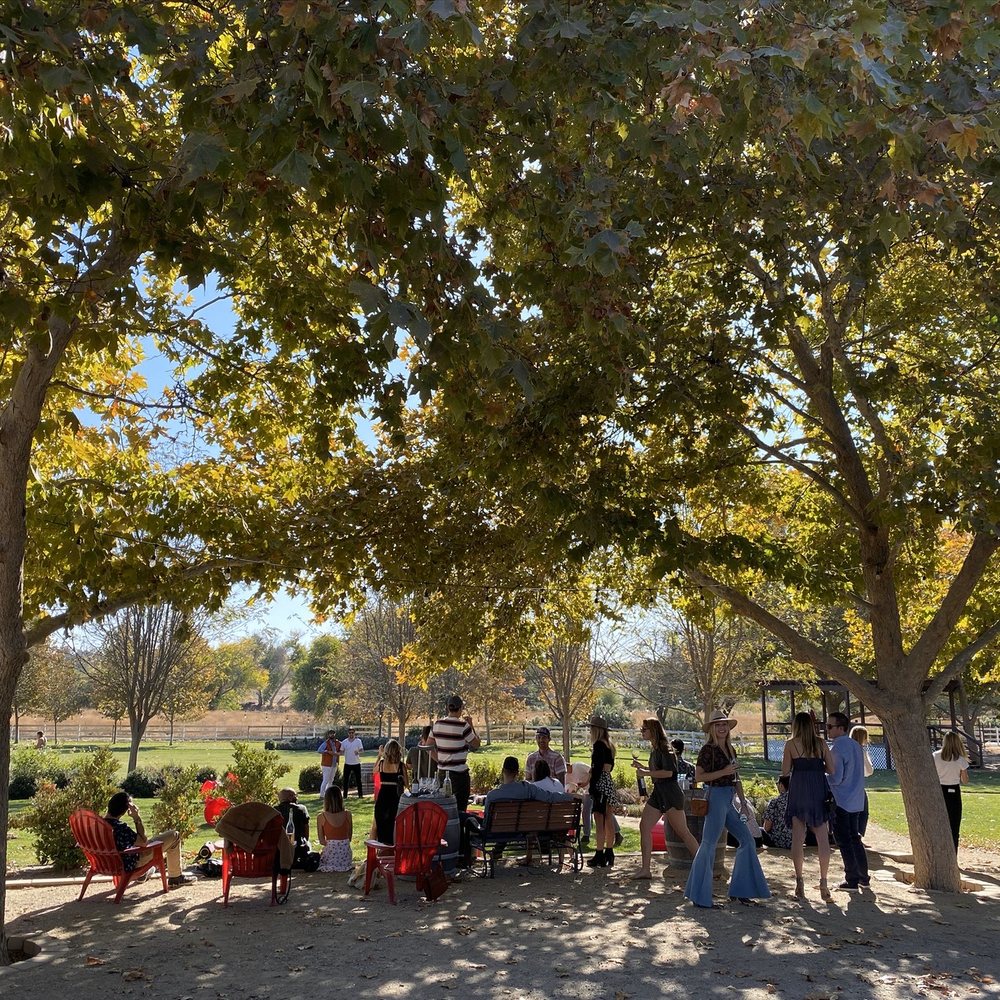 Riverstar Vineyards - a group of people sitting under trees - Wineries Near Me - San Miguel, California Riverstar Vineyards - a group of people sitting under trees - Wineries Near Me - San Miguel, California