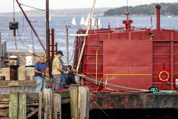 Casco Bay Lines by null