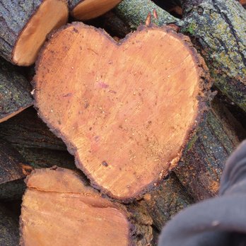 Joe's Tree Service - Tree Services Near Me - Chico, California Joe's Tree Service - Tree Services Near Me - Chico, California