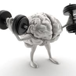 Alpha NeuroHealth Clinic - Train your Brain