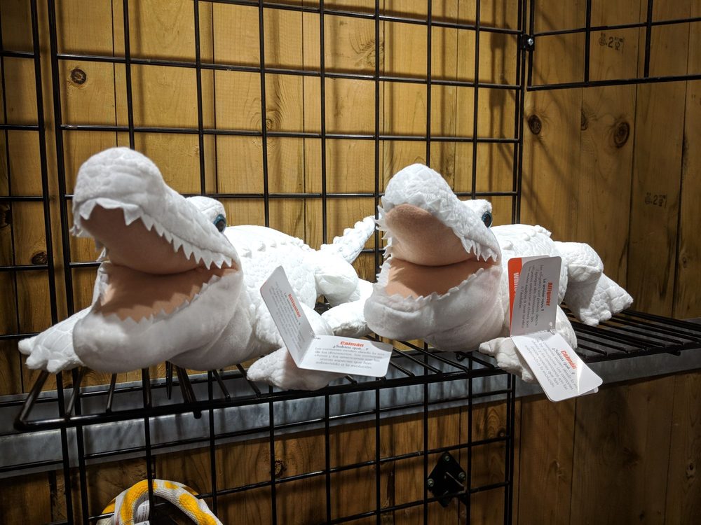 The Creature Conservancy 215 Photos & 34 Reviews Zoos 4950 Ann ArborSaline Rd, Ann Arbor