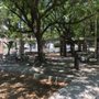 Photo of Guadalupe Park