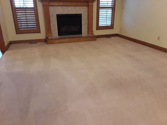 Carpet Cleaning Commercial or Residential - Let us be your go to carpet cleaning specialist for all of your carpet cleaning needs whether it is for your home, office building, and more! Carpet Cleaning Commercial or Residential - Let us be your go to carpet cleaning specialist for all of your carpet cleaning needs whether it is for your home, office building, and more!