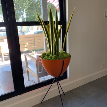 Arizona Sun Silks - Home Decor Near Me - Phoenix, Arizona