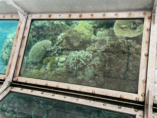 Sunlover Reef Cruises by null