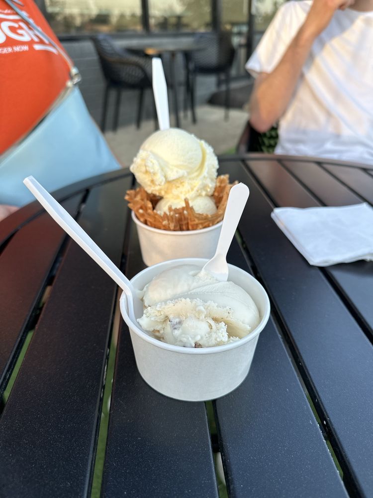 Area 51 Ice Cream Logo