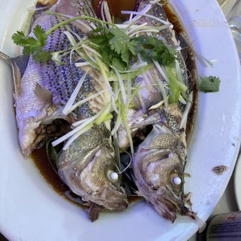 Ocean Harbor - Dim Sum Near Me - Philadelphia, Pennsylvania Ocean Harbor - Dim Sum Near Me - Philadelphia, Pennsylvania