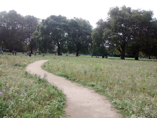 London Fields by null