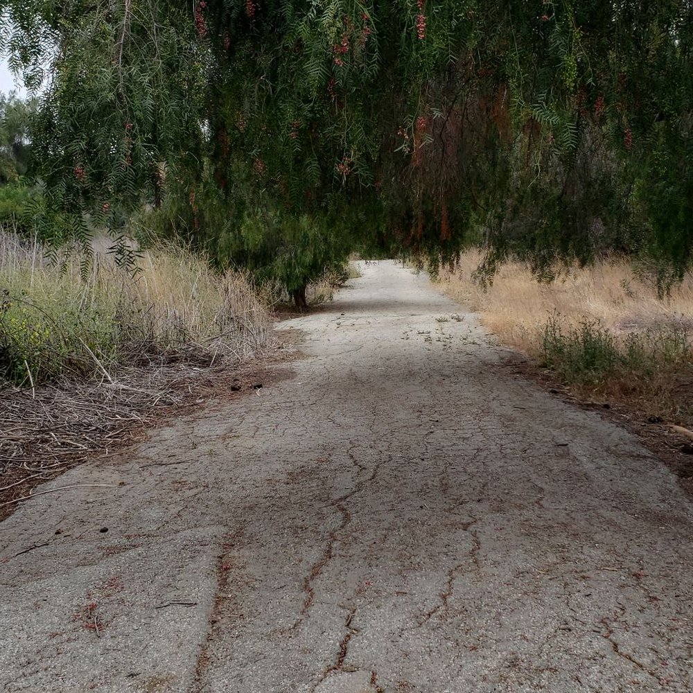 Bonnie Cove - Hiking Near Me - Glendora, California
