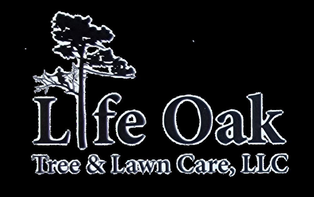 LIFE OAK TREE AND LAWN CARE SERVICE Holiday, Florida Lawn Services