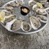 Welton Brewing Co & Oyster Bar gift card