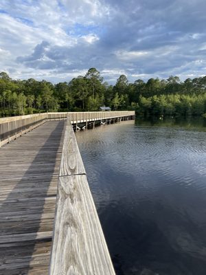 Laura S. Walker State Park by null