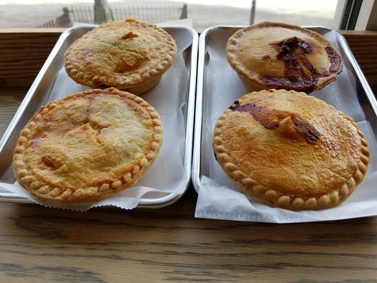 Barangaroos Aussie Pies by null
