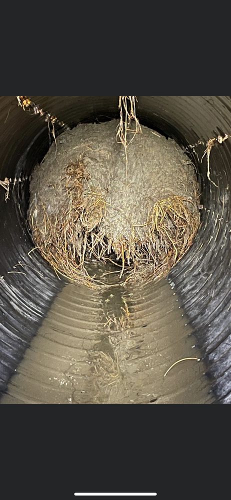 Slide of Five Star Service Pros