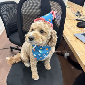 JK's Ruff House - Pet Groomers Near Me - Denver, Colorado JK's Ruff House - Pet Groomers Near Me - Denver, Colorado