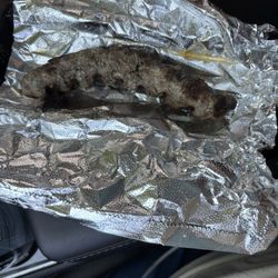 Single kafta.