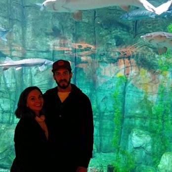Downtown Aquarium - Museums Near Me - Denver, Colorado
