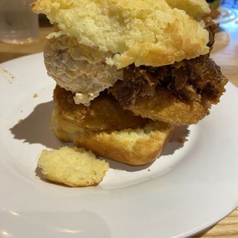 Vicious Biscuit - 'Mater Biscuit - Breakfast & Brunch Near Me - Charlotte, North Carolina Vicious Biscuit - 'Mater Biscuit - Breakfast & Brunch Near Me - Charlotte, North Carolina