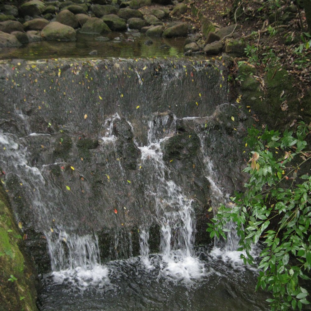 Lulumahu Falls - Hiking Near Me - Honolulu, Hawaii