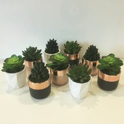 Pretty Petals - Very real touch artificial succulent pot. in store now for order.