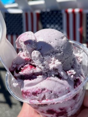 Blueberry Hill Dairy Bar by null