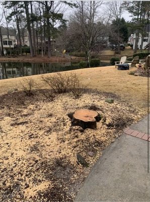 Stump Removal & Stump Grinding - Over time after a tree if taken down the stump of the tree can become a breeding ground for pets. Also having stumps in your yard create a decrease in value for your home. If you have a need to remove any tree stumps in your yard give us a call today. We have the tools, team, and experience to get the job done while remaining budget friendly.