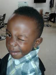 Close up Kuts by null