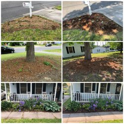 Marz Landscape - weeds and flower beds