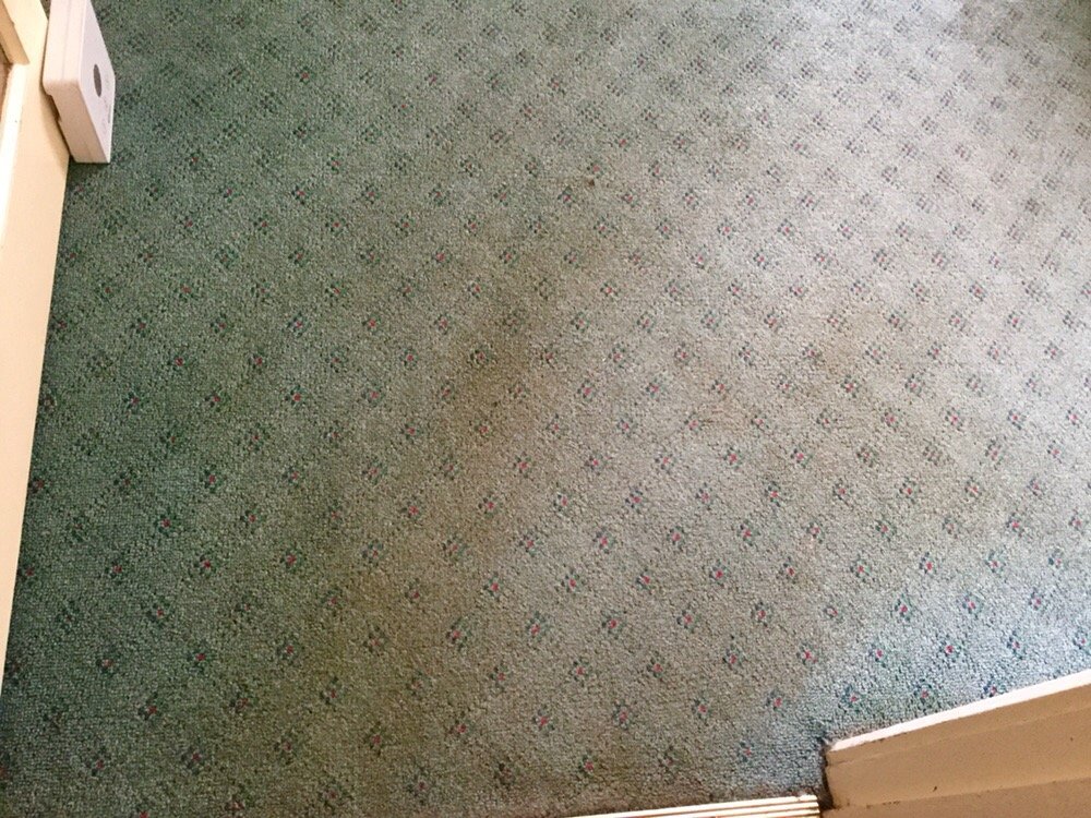 CHEAP AS CHIPS Updated August 2024 18A Yarra St, South Yarra Victoria, Australia Office