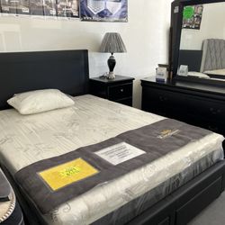 Chihuahua Furniture