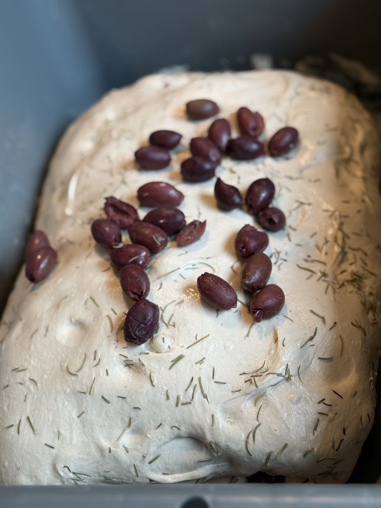 Five Loaves Logo