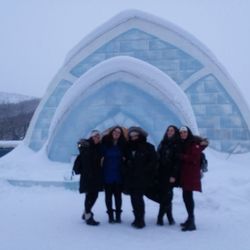 Alaska Skies Aurora Tours - Ice Museum & Hotel