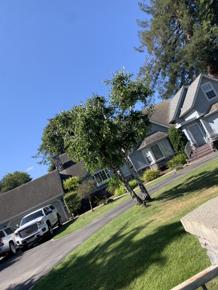 Slide of Diaz Gorilla Roofing