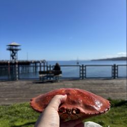 High Tide Seafoods