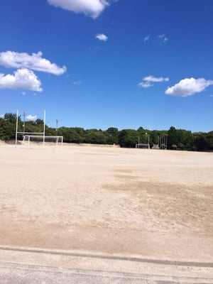 Tsuruma Park by null