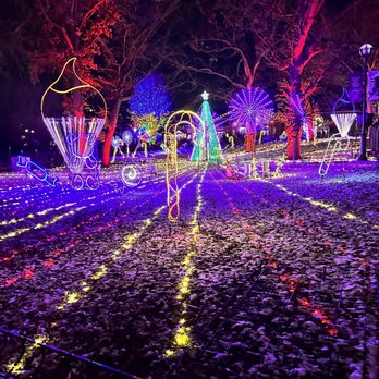 Zoolights - Lights - Local Flavor Near Me - Chicago, Illinois
