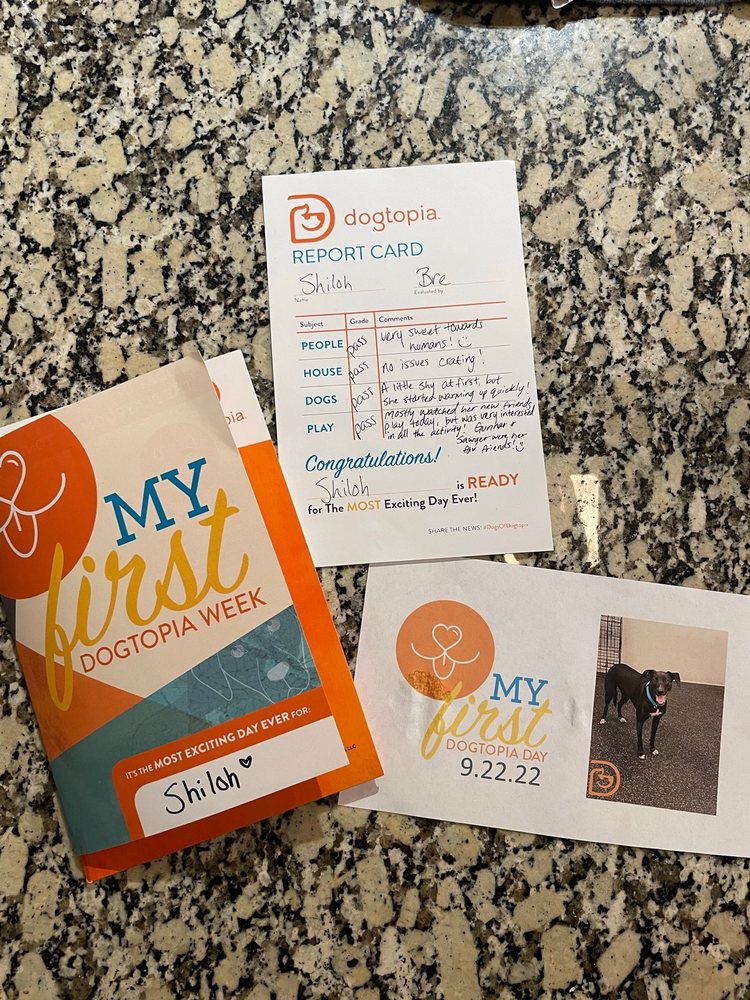 DOGTOPIA OF OLATHE Updated June 2024 15270 W 119th St, Olathe