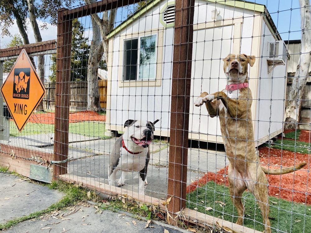 RIVER DOGS RESORT Updated May 2024 53 Photos & 62 Reviews 2835