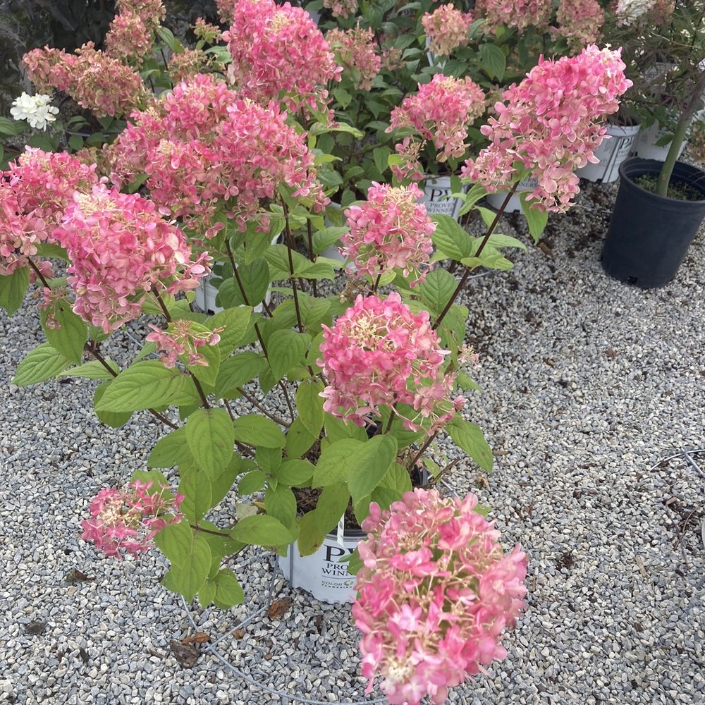 Bremec Garden Center - Nurseries & Gardening Near Me - Chesterland, Ohio