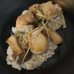 Scallop risotto
