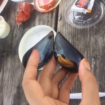 The Net Result - A tiny muscle - Seafood Near Me - Vineyard Haven, Massachusetts