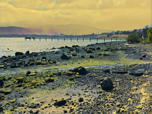 Candlestick Point State Recreation Area by null