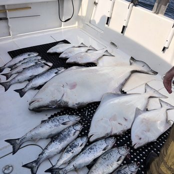 Bob's Trophy Charters - The haul 8-27-19 - Boating Near Me - Homer, Alaska Bob's Trophy Charters - The haul 8-27-19 - Boating Near Me - Homer, Alaska