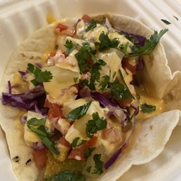 Avocado Taco Avocado Taco