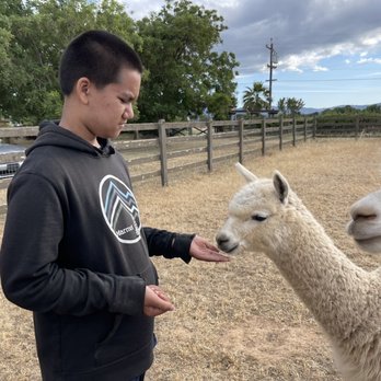 Back-to-Eden Ranch - Attraction Farms Near Me - Gilroy, California Back-to-Eden Ranch - Attraction Farms Near Me - Gilroy, California